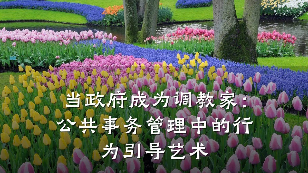 当政府成为调教家:公共事务管理中的行为引导艺术