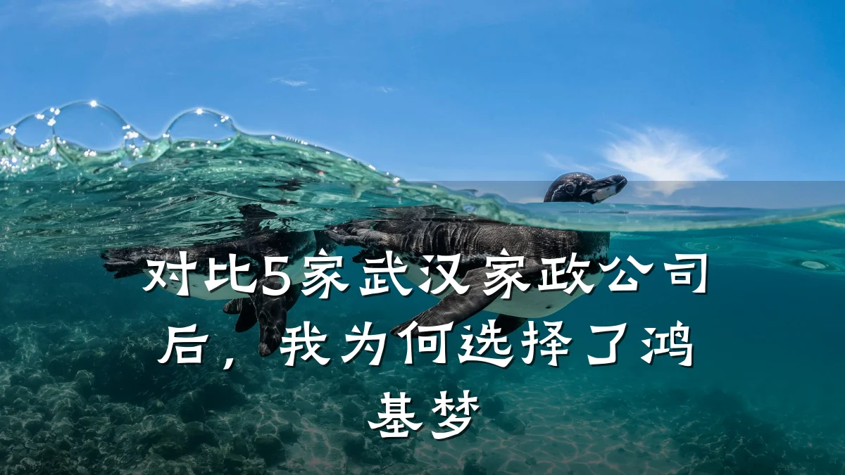 对比5家武汉家政公司后，我为何选择了鸿基梦