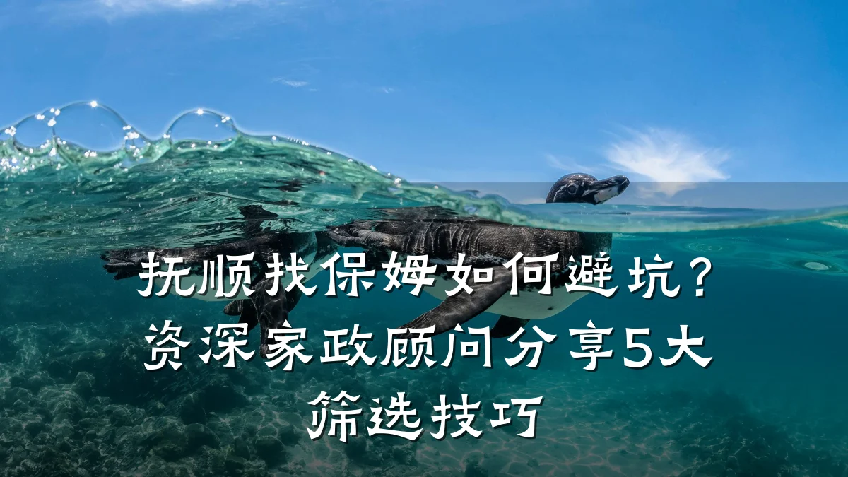 抚顺找保姆如何避坑？资深家政顾问分享5大筛选技巧