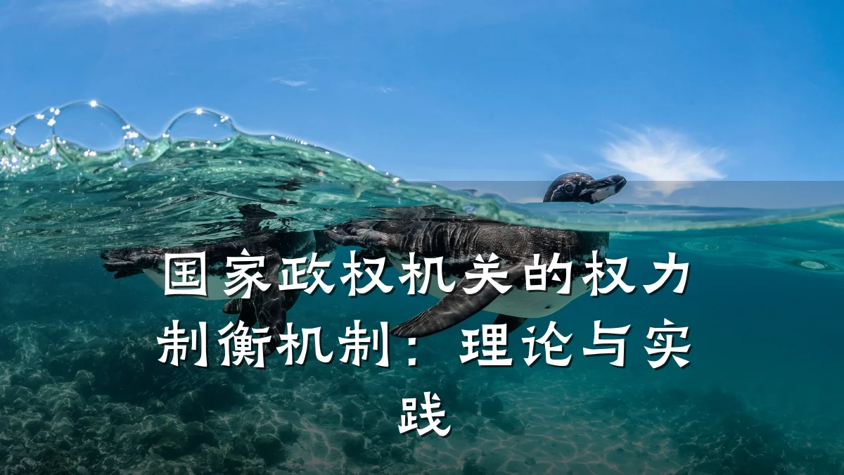 国家政权机关的权力制衡机制：理论与实践