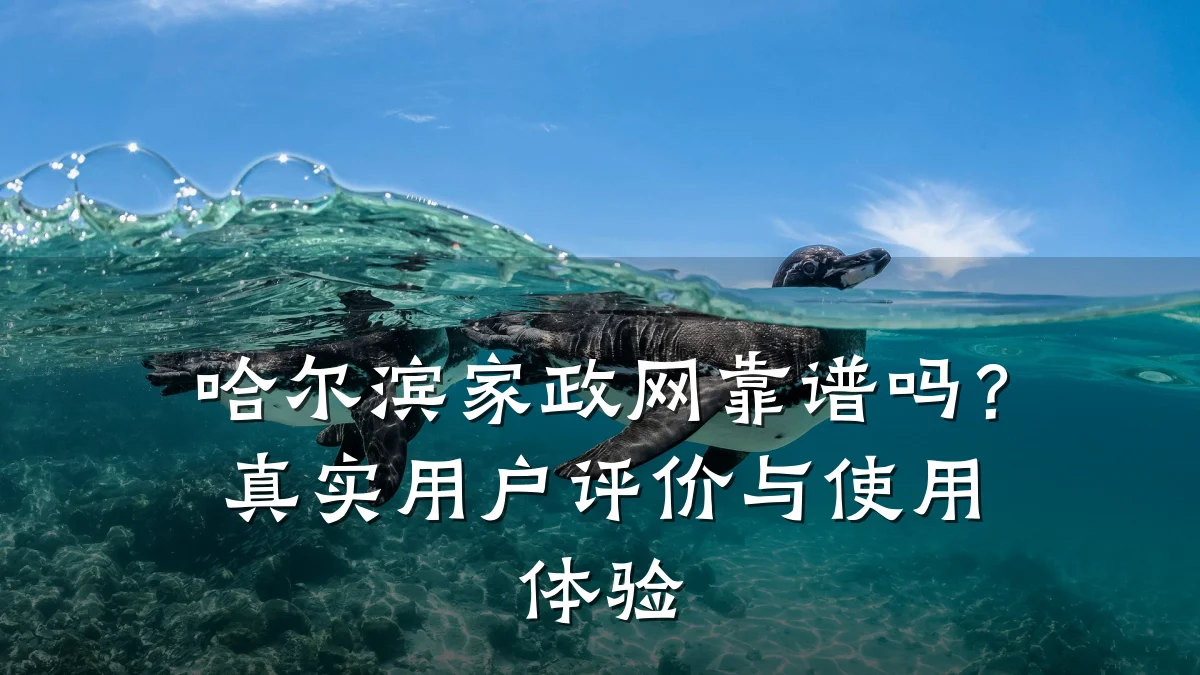 哈尔滨家政网靠谱吗？真实用户评价与使用体验