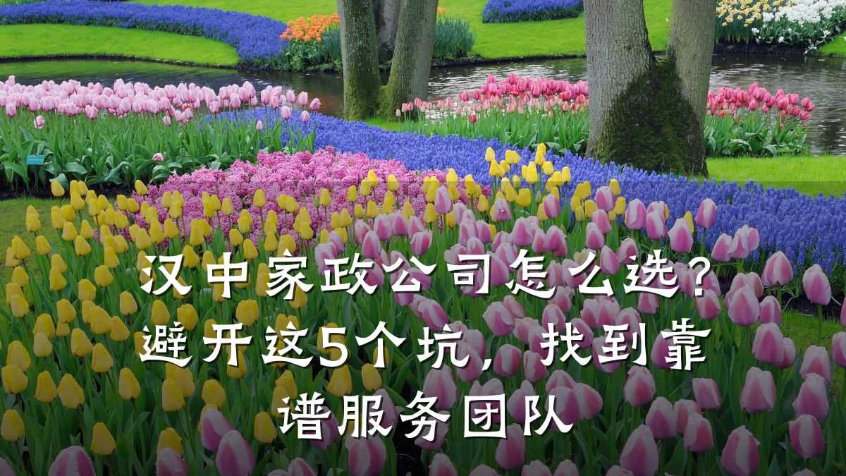 汉中家政公司怎么选？避开这5个坑，找到靠谱服务团队