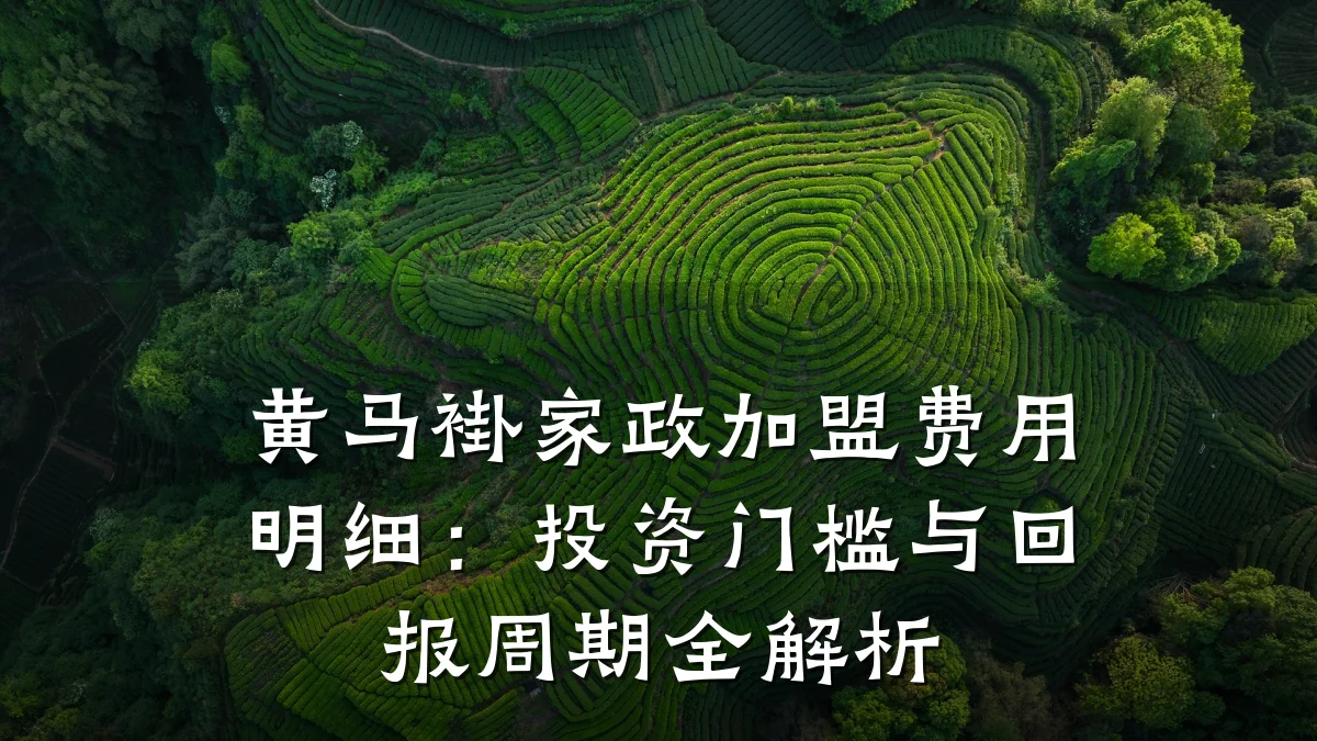 黄马褂家政加盟费用明细:投资门槛与回报周期全解析