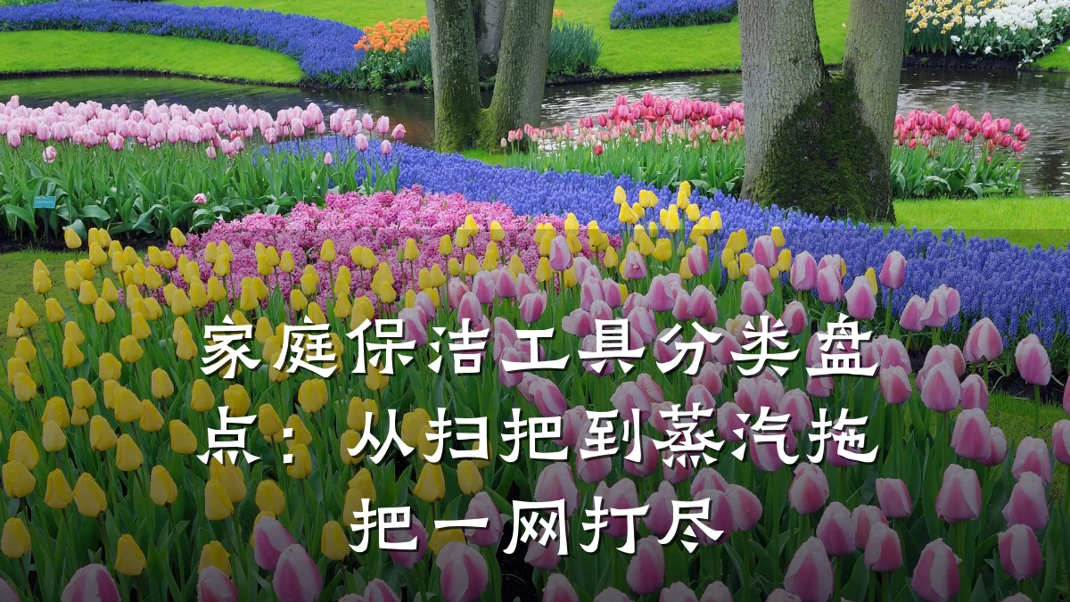 家庭保洁工具分类盘点:从扫把到蒸汽拖把一网打尽