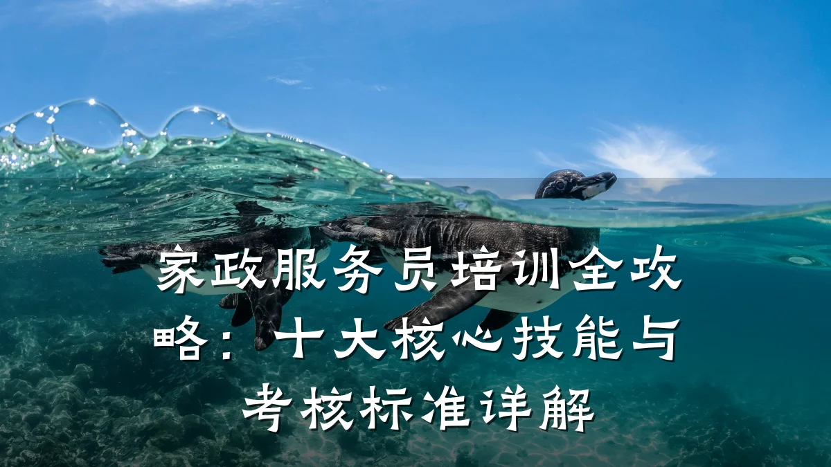 家政服务员培训全攻略:十大核心技能与考核标准详解
