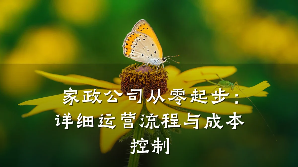 家政公司从零起步:详细运营流程与成本控制