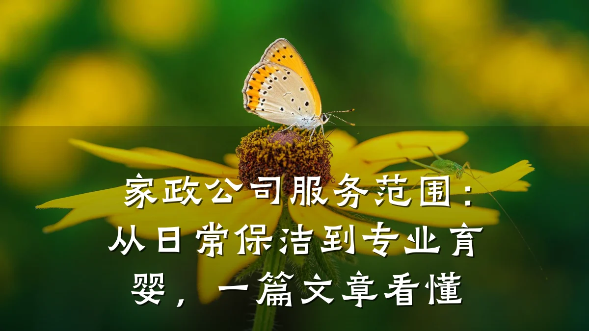 家政公司服务范围：从日常保洁到专业育婴，一篇文章看懂