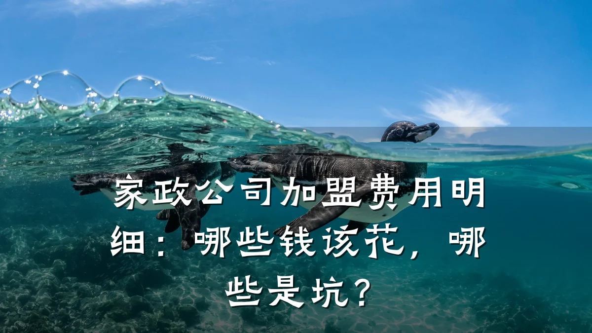 家政公司加盟费用明细：哪些钱该花，哪些是坑？