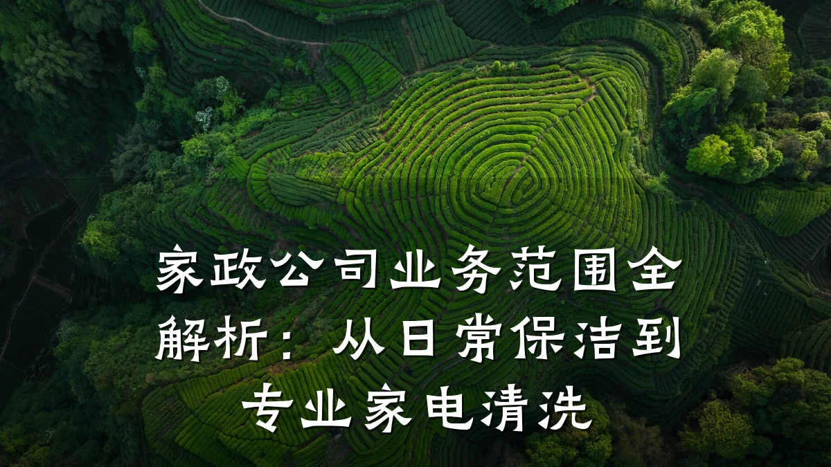 家政公司业务范围全解析：从日常保洁到专业家电清洗