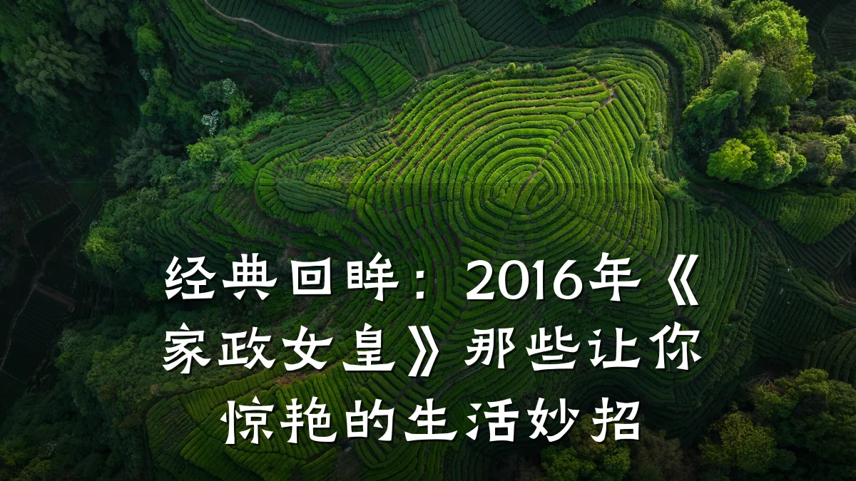 经典回眸：2016年《家政女皇》那些让你惊艳的生活妙招