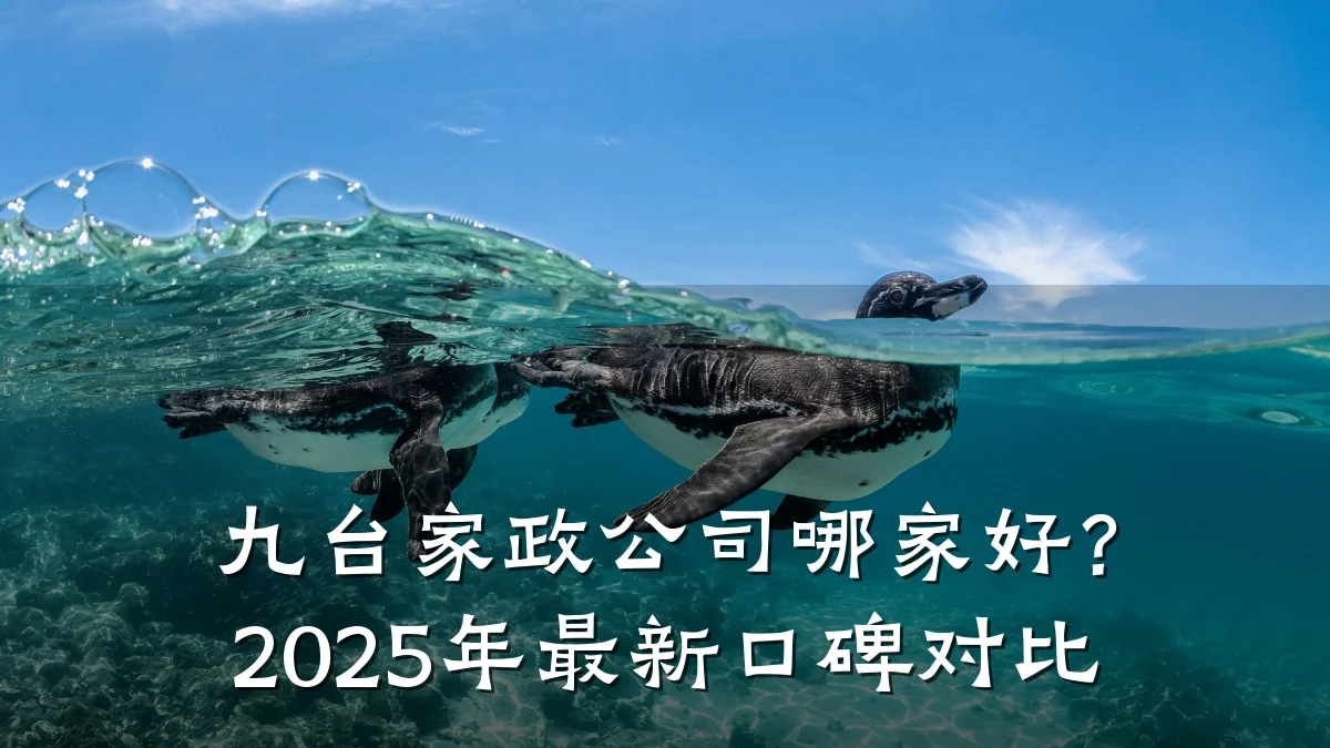 九台家政公司哪家好？2025年最新口碑对比