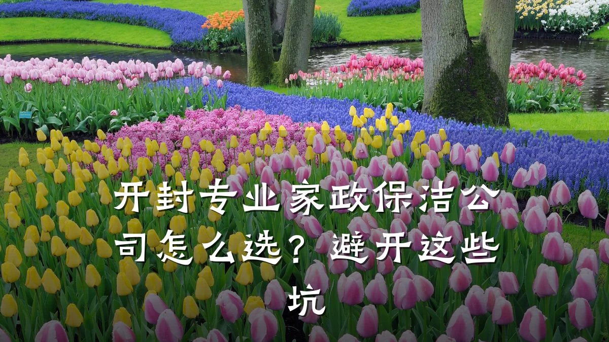 开封专业家政保洁公司怎么选?避开这些坑
