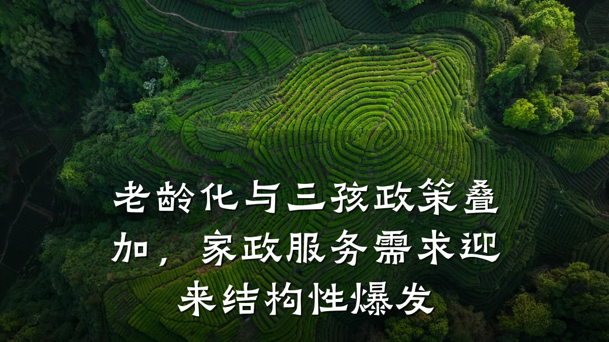 老龄化与三孩政策叠加,家政服务需求迎来结构性爆发