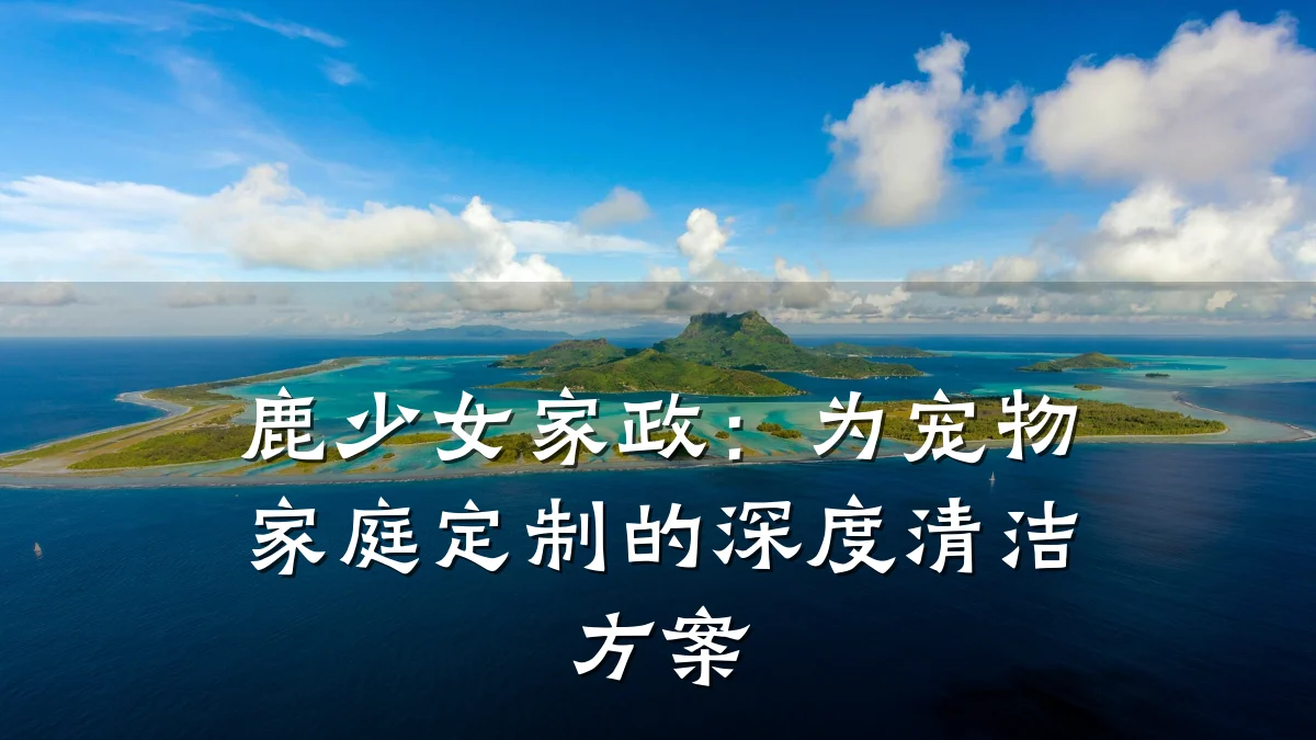 鹿少女家政：为宠物家庭定制的深度清洁方案