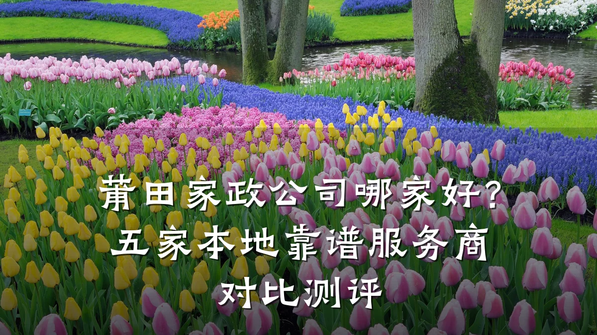 莆田家政公司哪家好?五家本地靠谱服务商对比测评