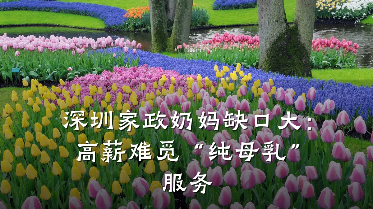 深圳家政奶妈缺口大:高薪难觅“纯母乳”服务