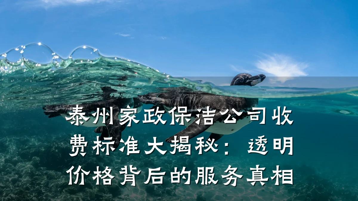 泰州家政保洁公司收费标准大揭秘:透明价格背后的服务真相