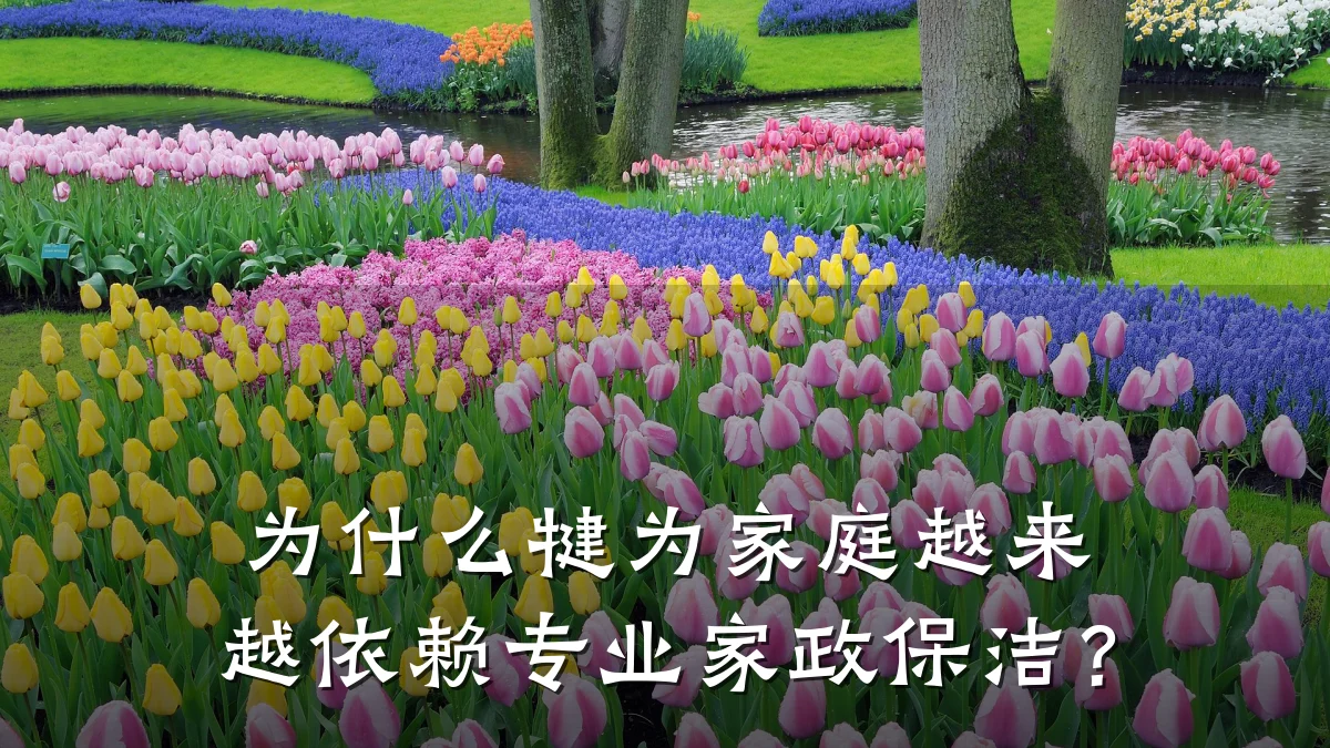 为什么犍为家庭越来越依赖专业家政保洁?