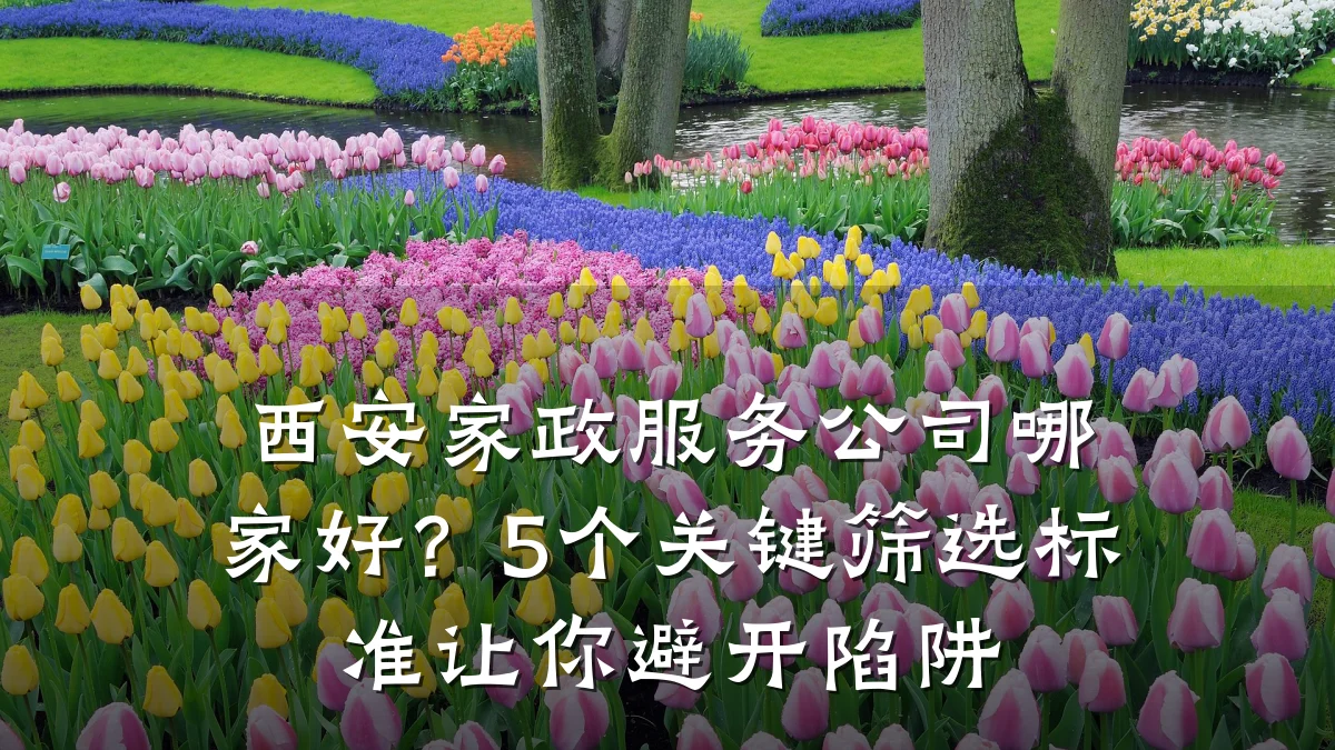 西安家政服务公司哪家好?5个关键筛选标准让你避开陷阱