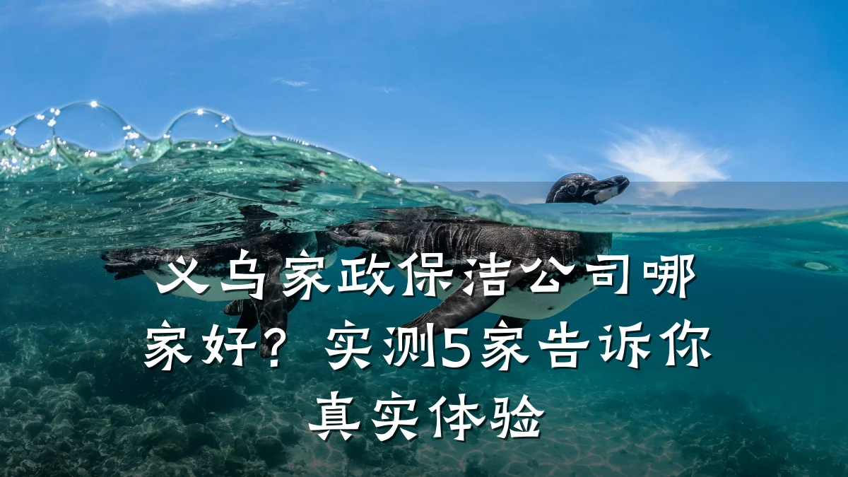 义乌家政保洁公司哪家好?实测5家告诉你真实体验
