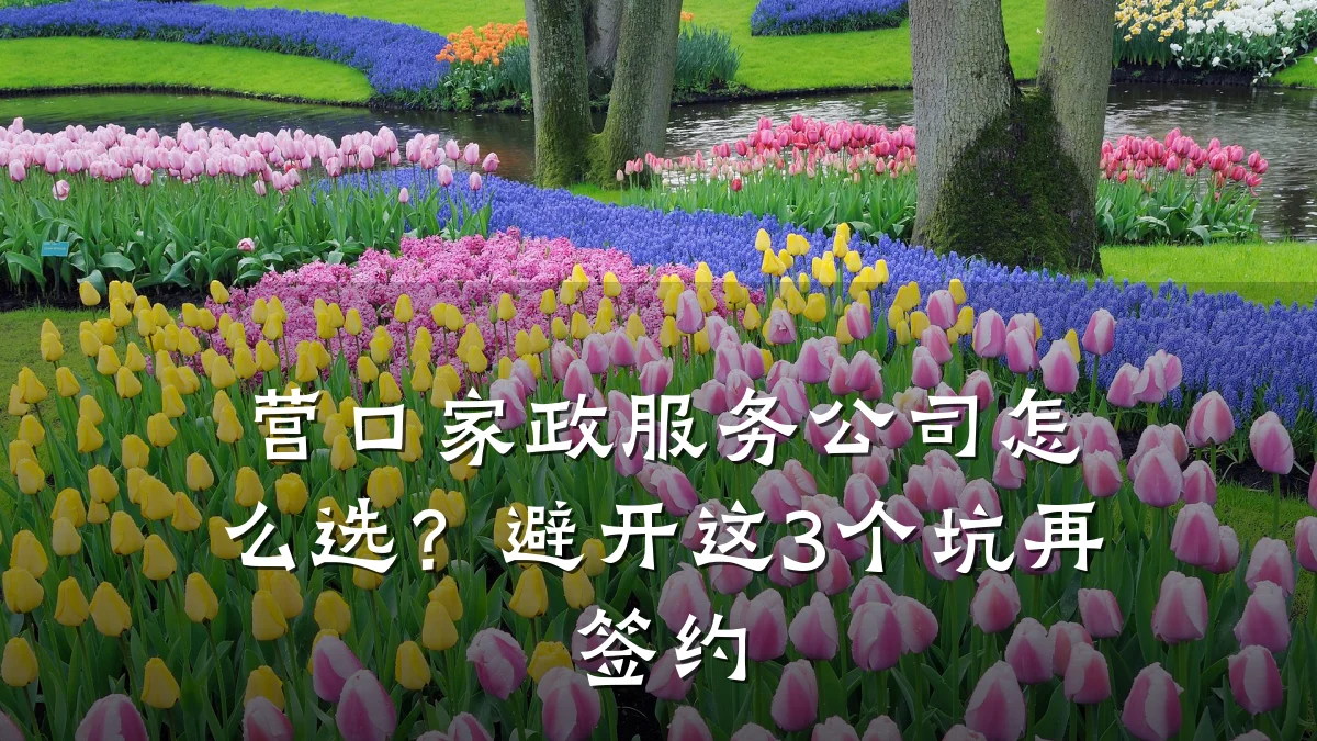营口家政服务公司怎么选?避开这3个坑再签约