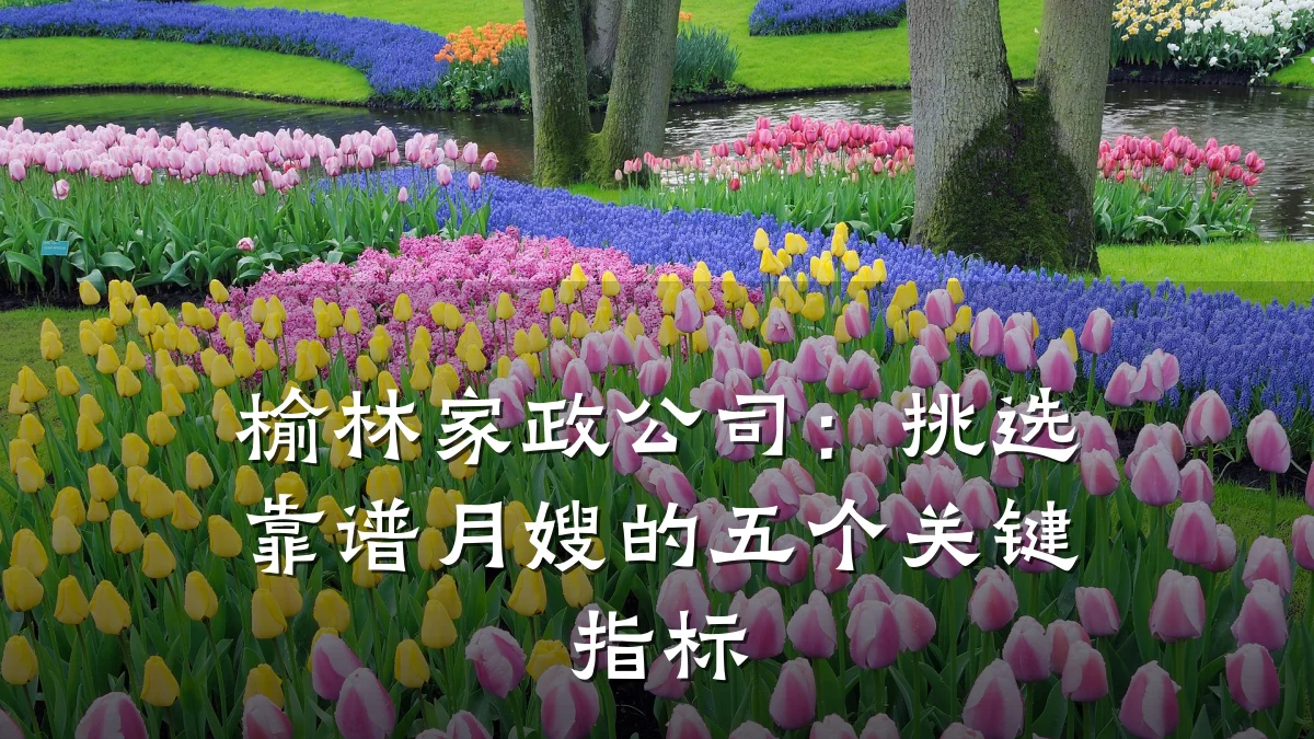 榆林家政公司：挑选靠谱月嫂的五个关键指标