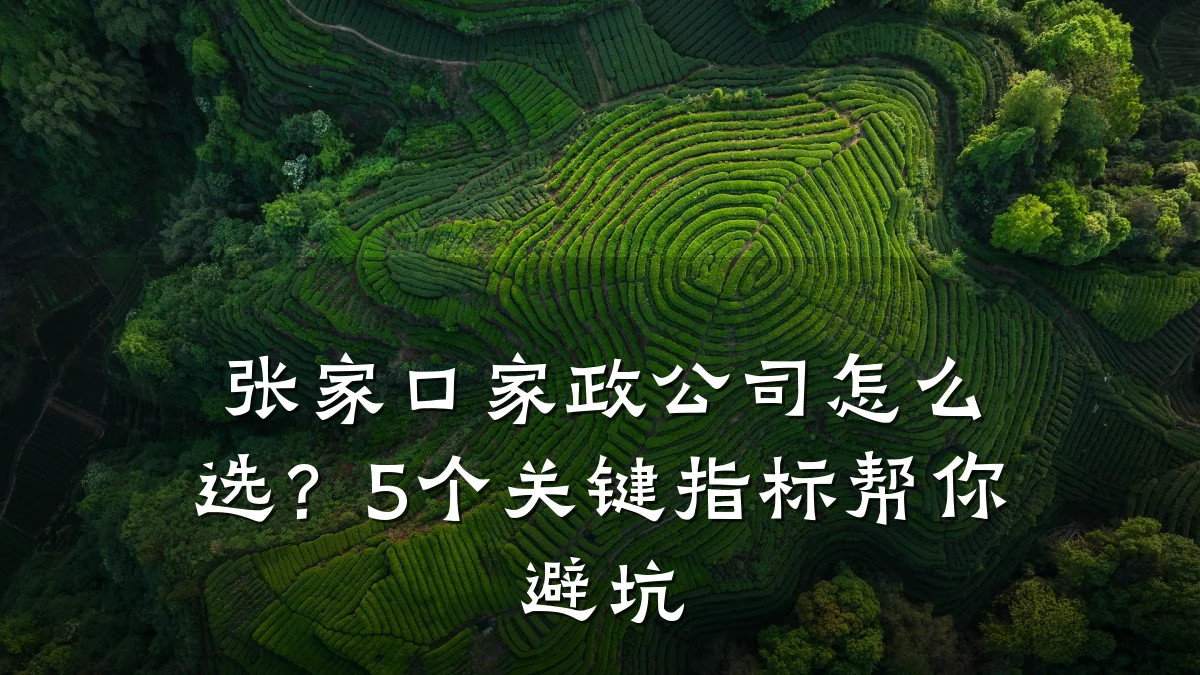 张家口家政公司怎么选?5个关键指标帮你避坑