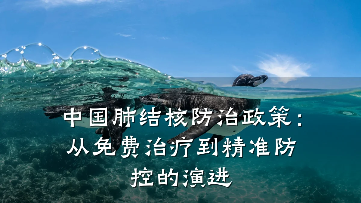 中国肺结核防治政策：从免费治疗到精准防控的演进
