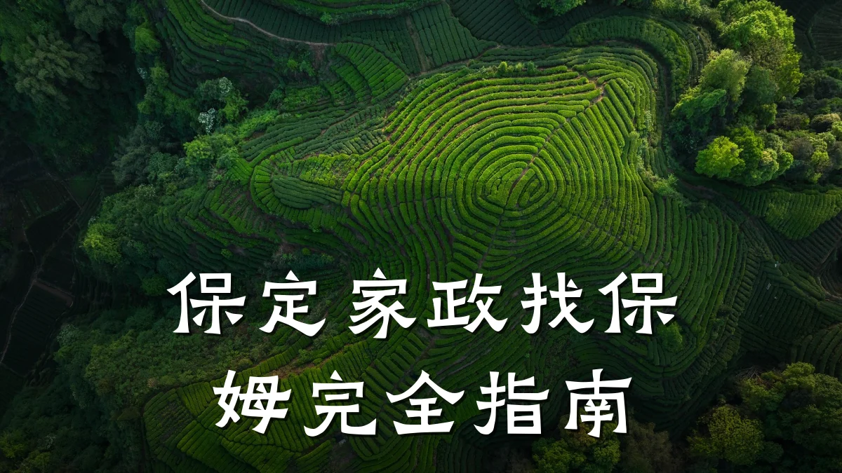 保定家政找保姆完全指南