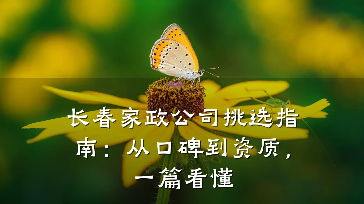 长春家政公司挑选指南：从口碑到资质，一篇看懂