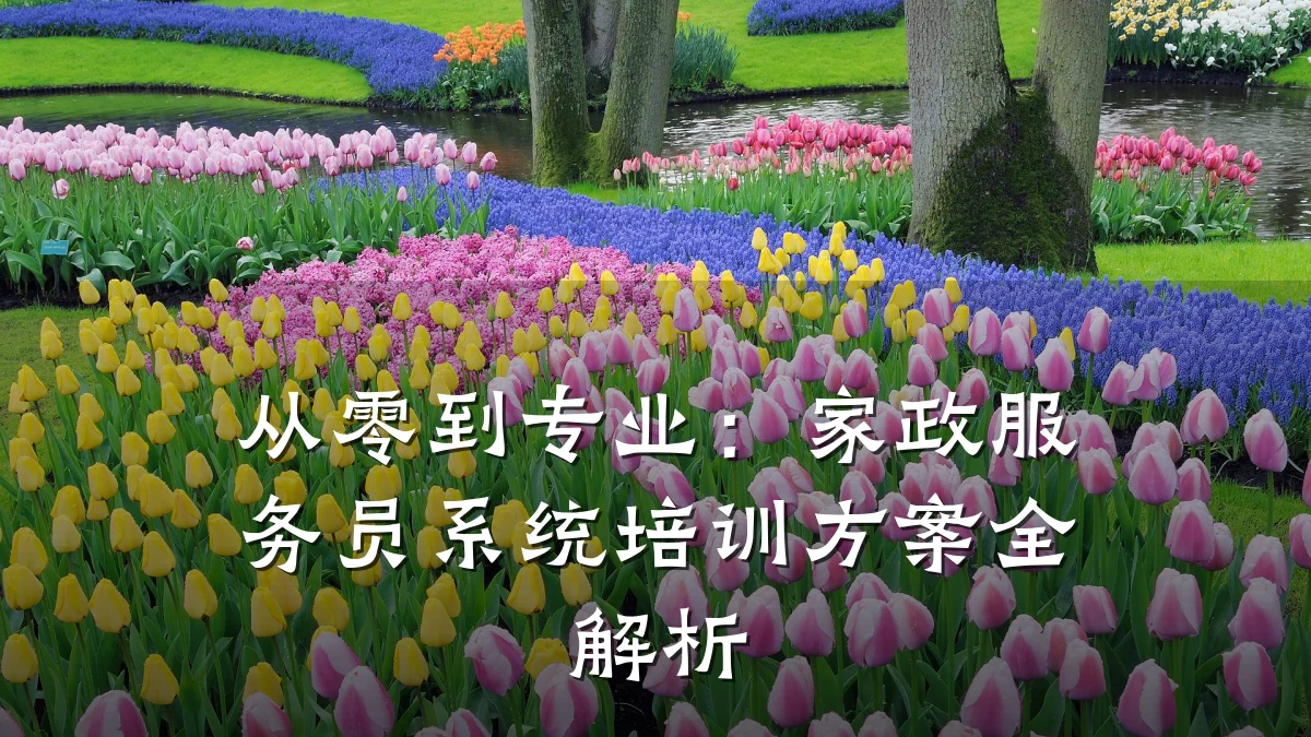 从零到专业:家政服务员系统培训方案全解析