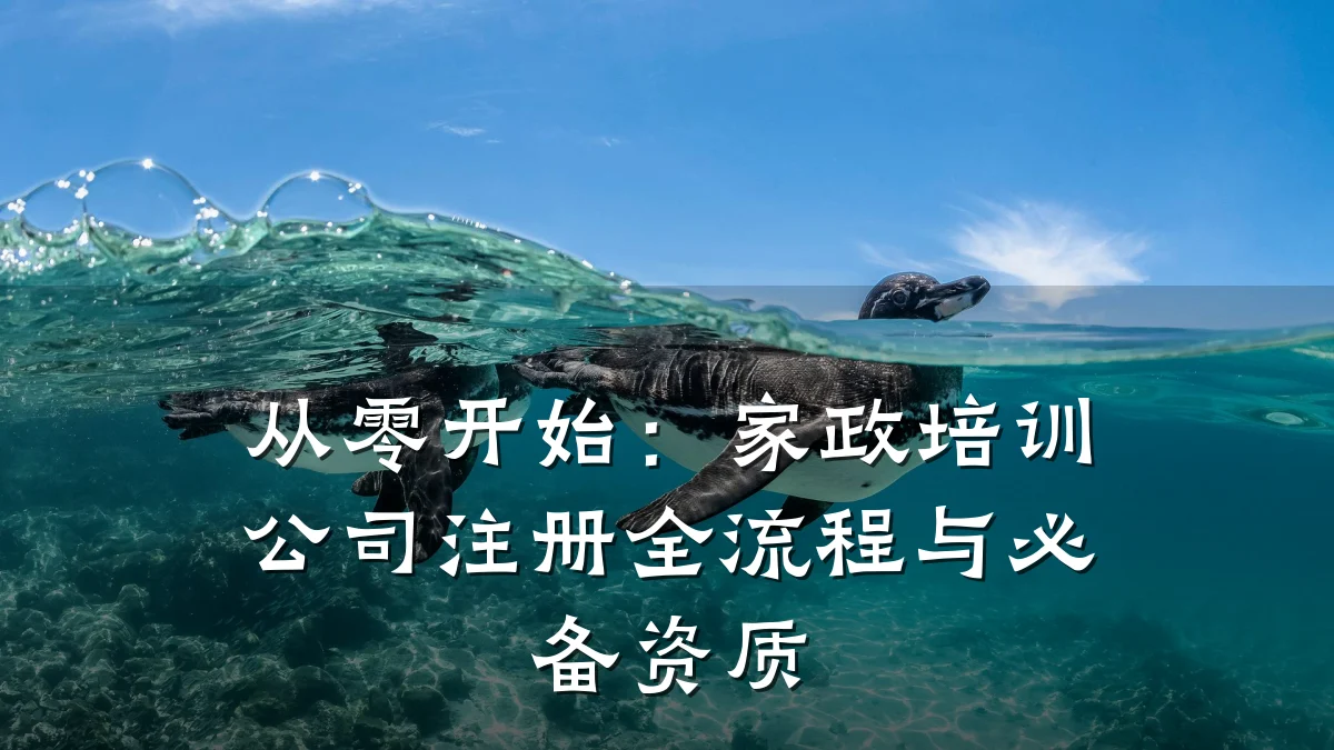 从零开始：家政培训公司注册全流程与必备资质