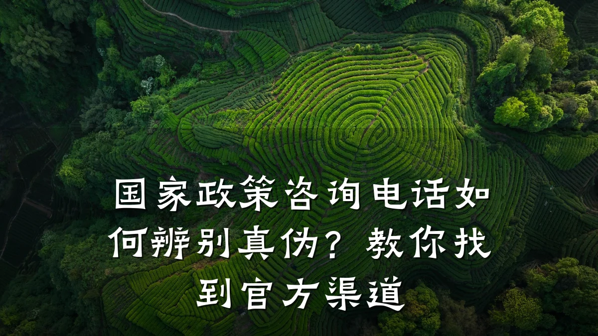 国家政策咨询电话如何辨别真伪?教你找到官方渠道