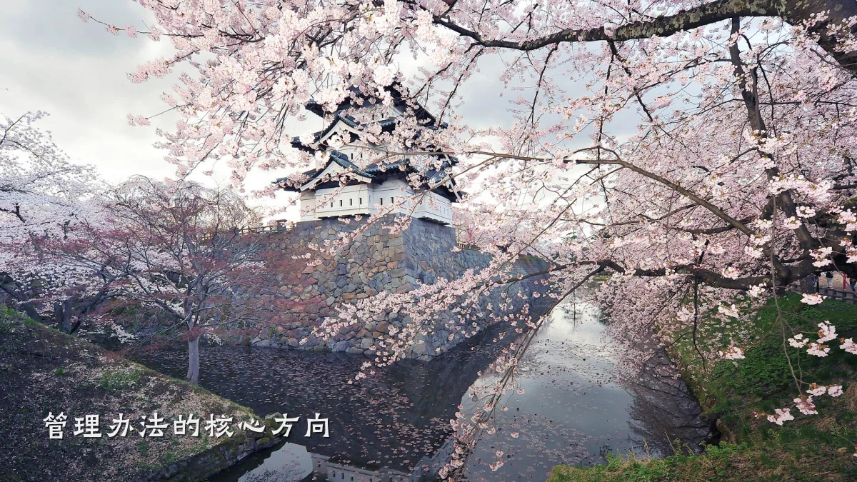 管理办法的核心方向