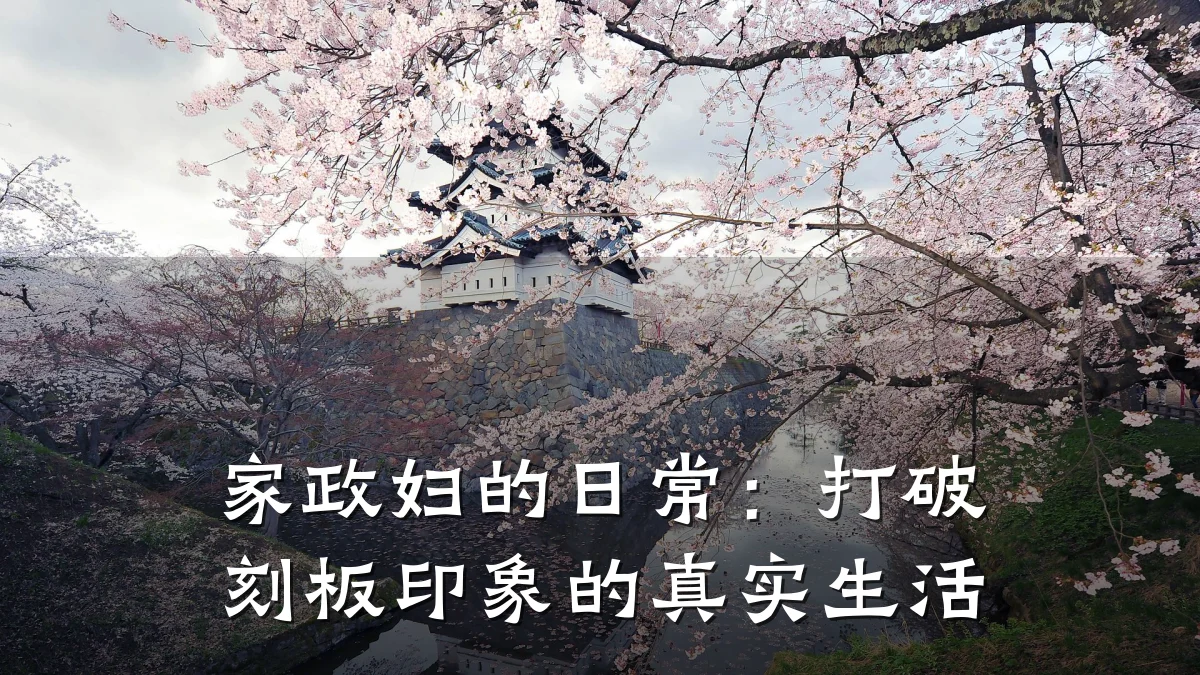 家政妇的日常：打破刻板印象的真实生活