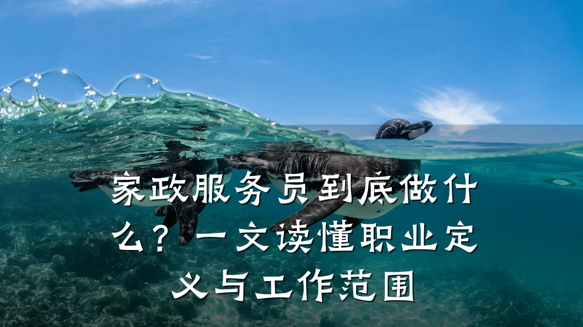 家政服务员到底做什么？一文读懂职业定义与工作范围