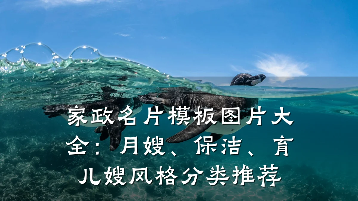 家政名片模板图片大全:月嫂、保洁、育儿嫂风格分类推荐