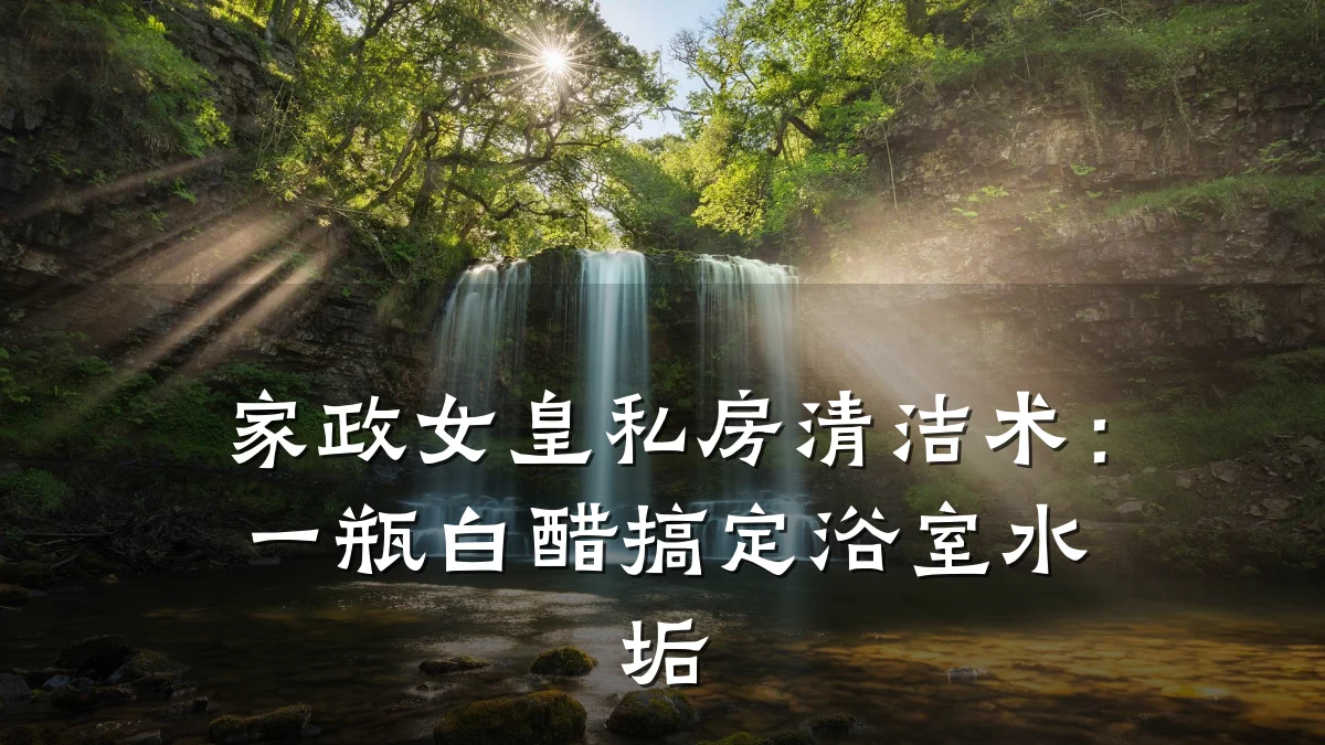家政女皇私房清洁术:一瓶白醋搞定浴室水垢