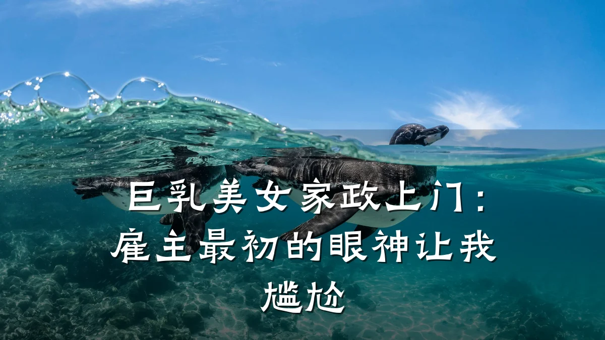 巨乳美女家政上门:雇主最初的眼神让我尴尬