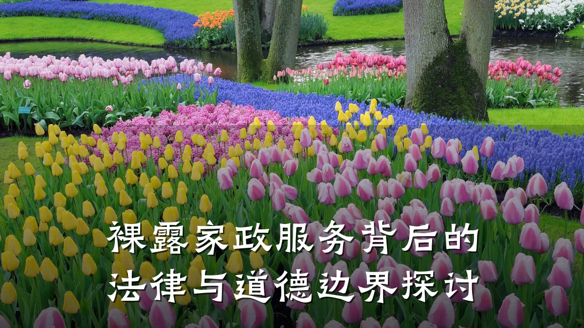 裸露家政服务背后的法律与道德边界探讨