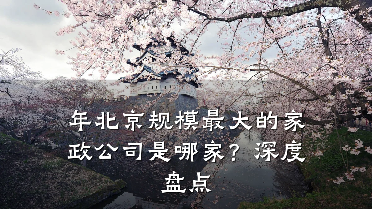 年北京规模最大的家政公司是哪家？深度盘点