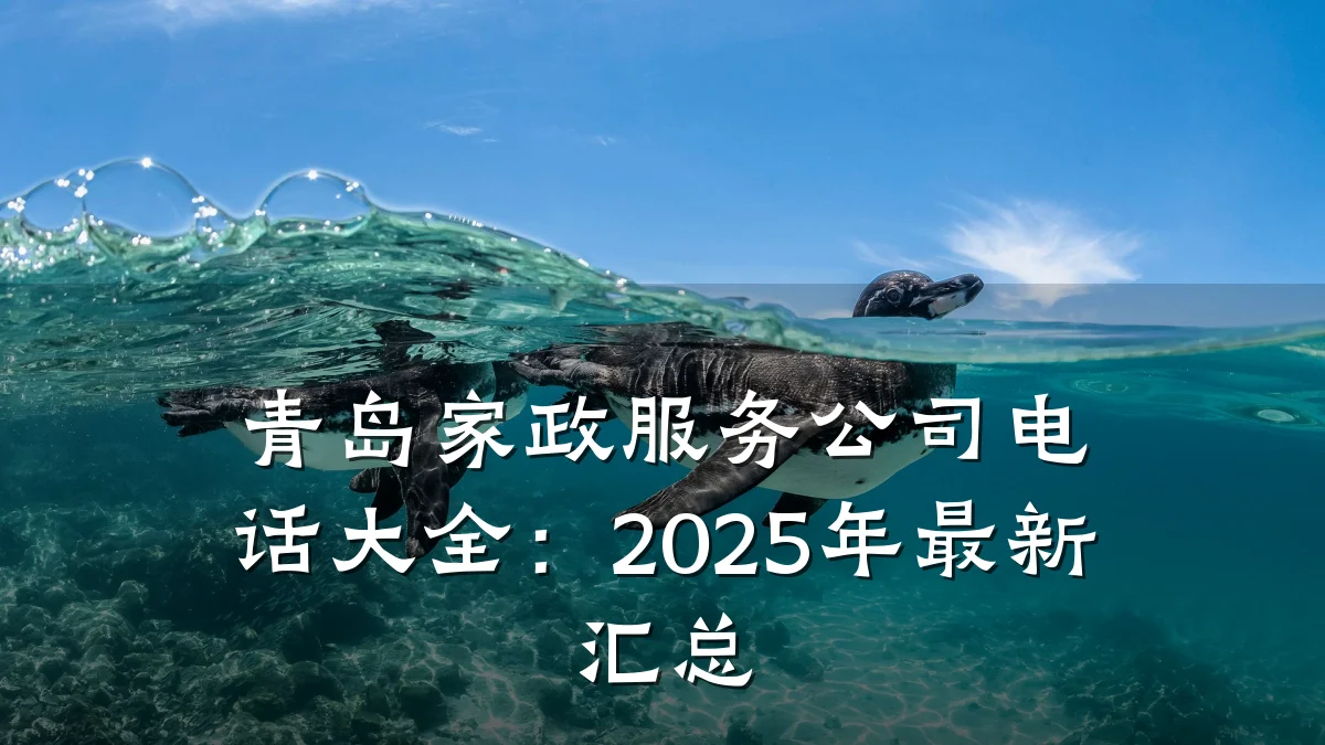 青岛家政服务公司电话大全:2025年最新汇总