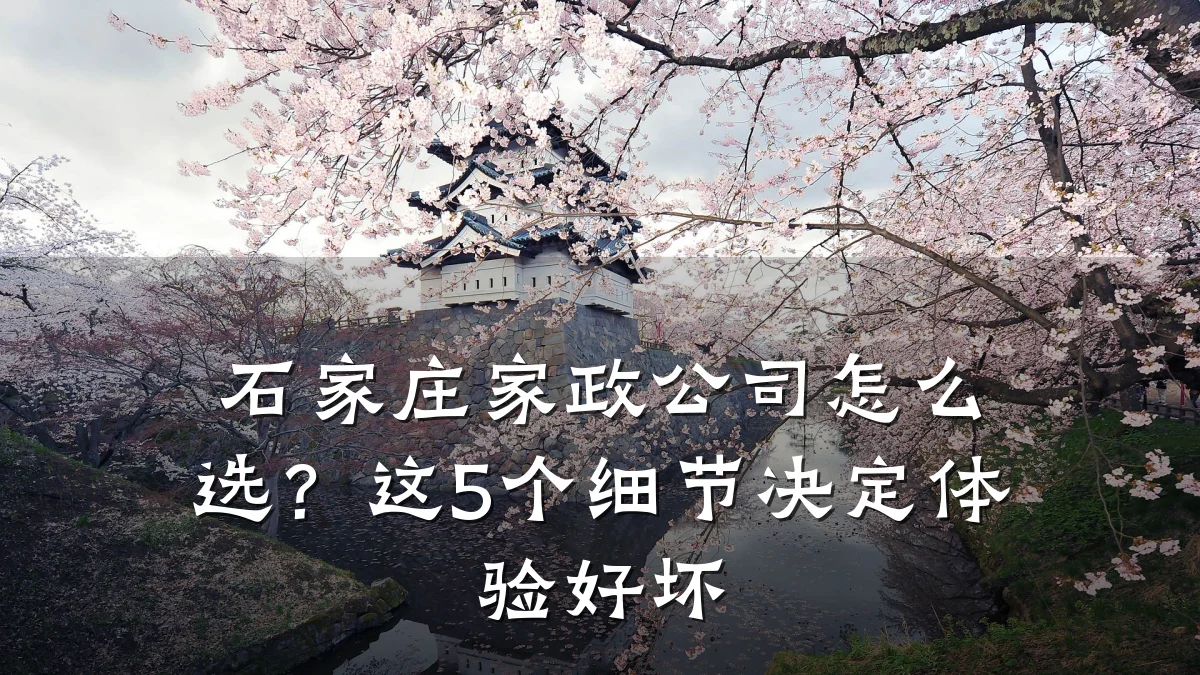 石家庄家政公司怎么选？这5个细节决定体验好坏