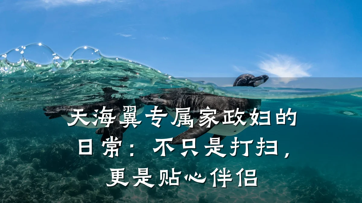 天海翼专属家政妇的日常：不只是打扫，更是贴心伴侣