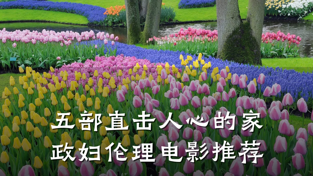 五部直击人心的家政妇伦理电影推荐