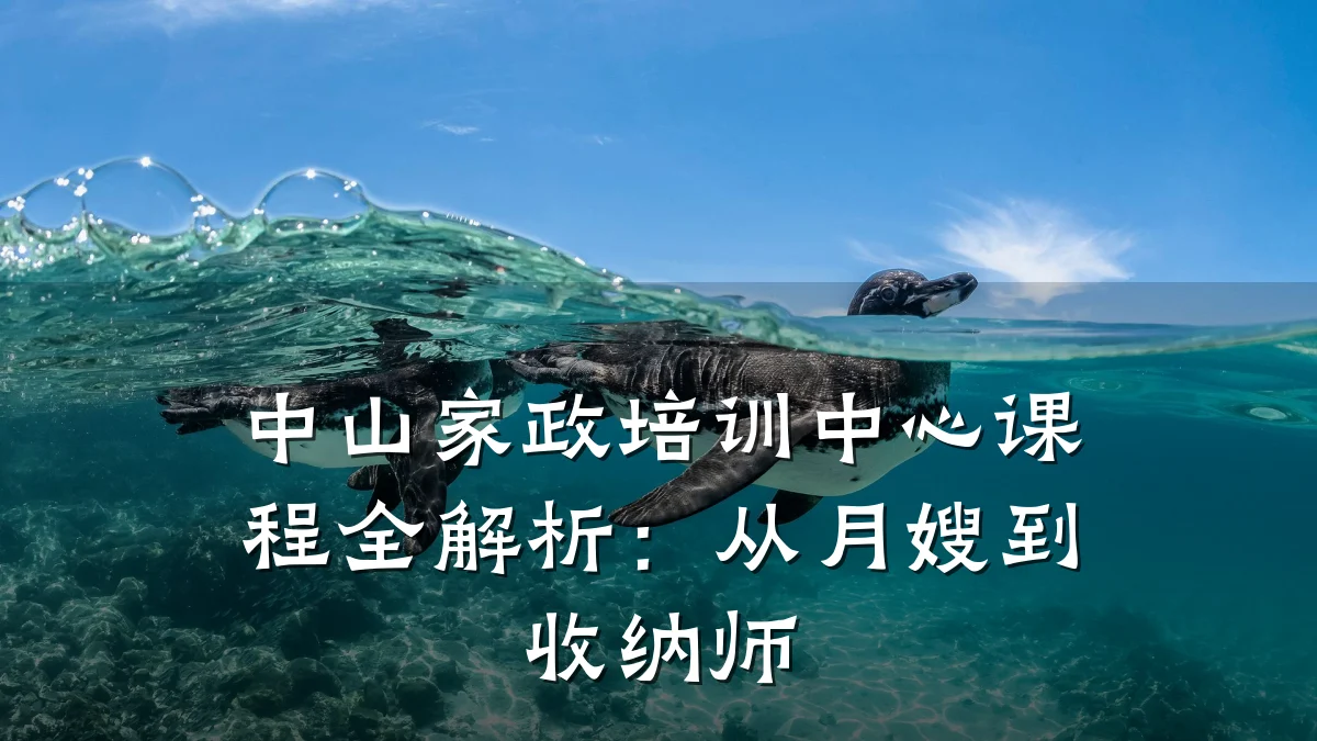 中山家政培训中心课程全解析:从月嫂到收纳师