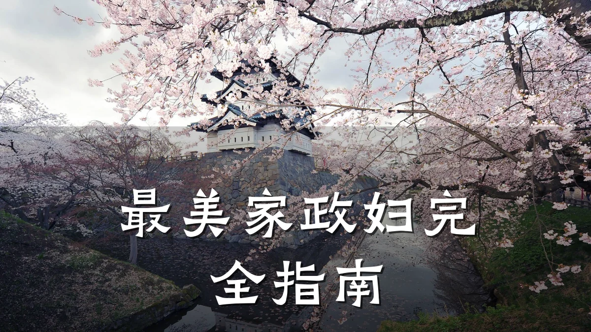 最美家政妇完全指南