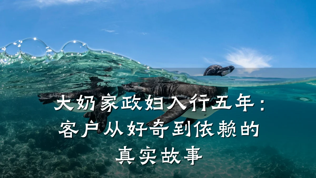 大奶家政妇入行五年:客户从好奇到依赖的真实故事