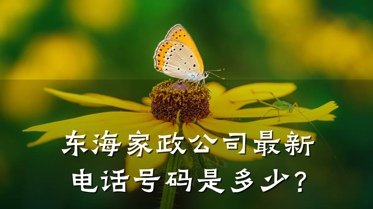 东海家政公司最新电话号码是多少？