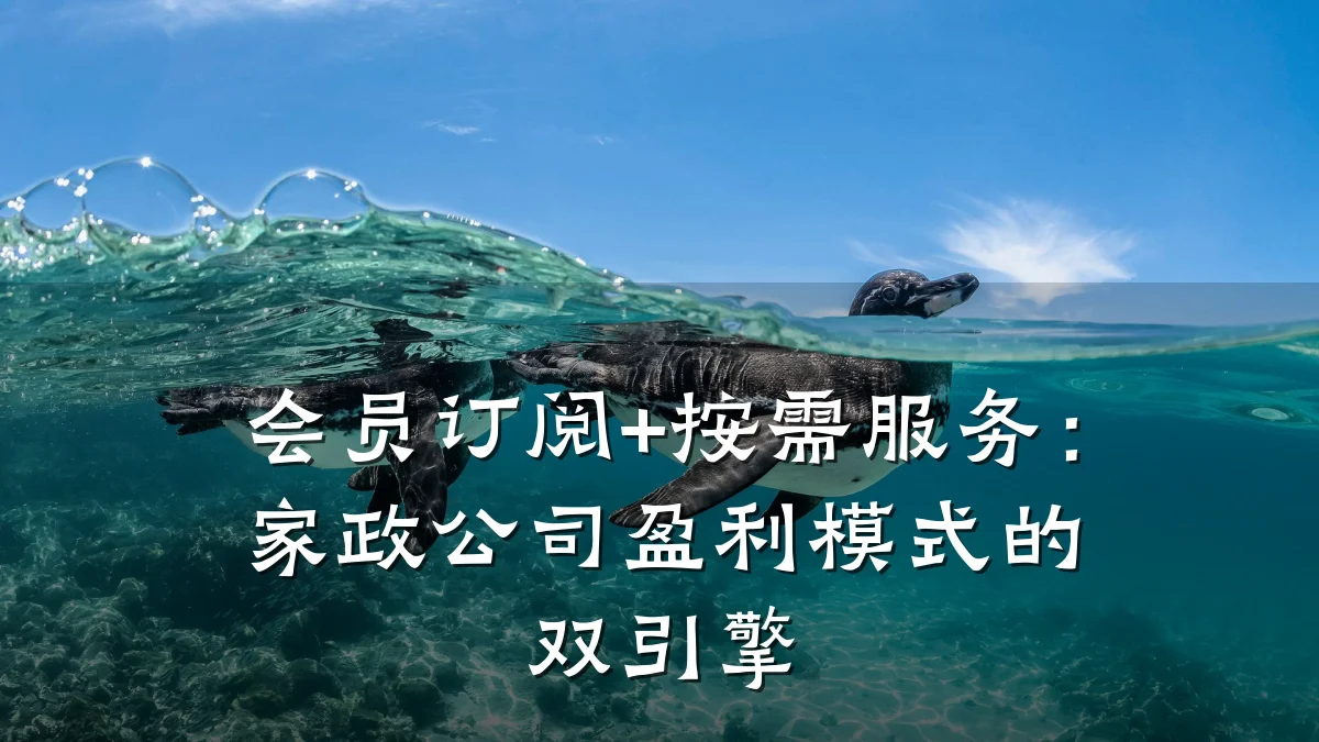 会员订阅+按需服务：家政公司盈利模式的双引擎